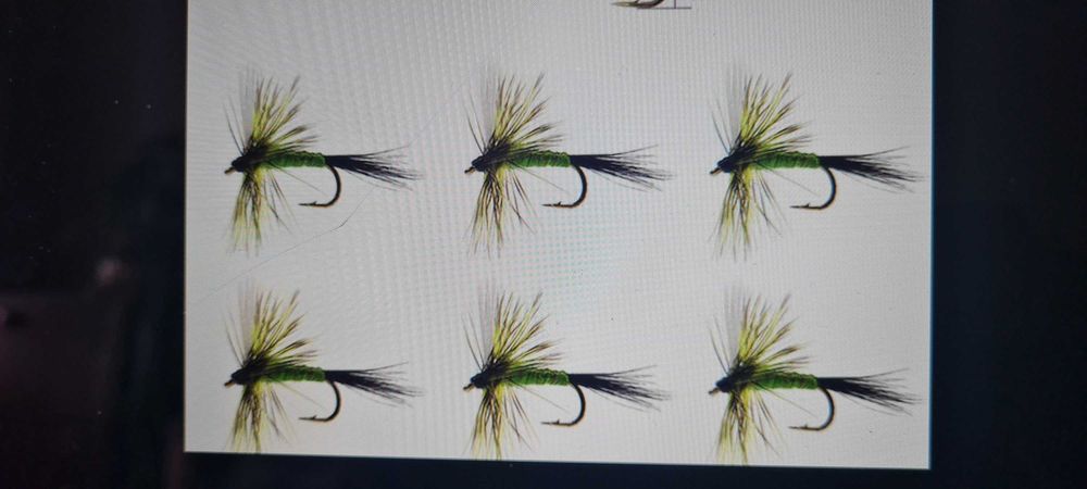 Plumas para Pesca das Trutas