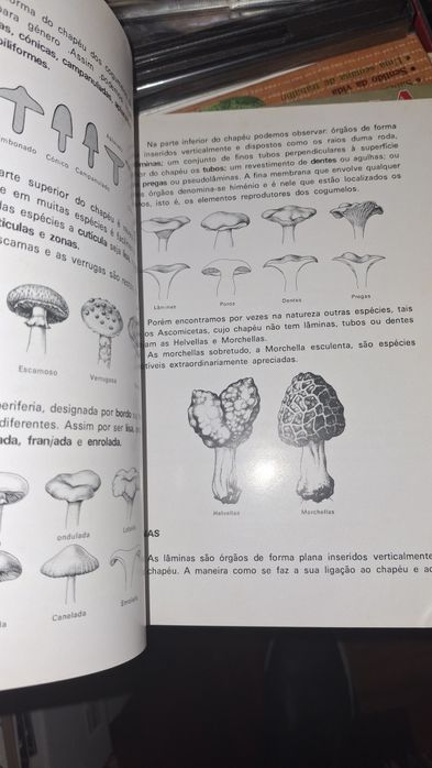 Cogumelos pleurotus olearius livro