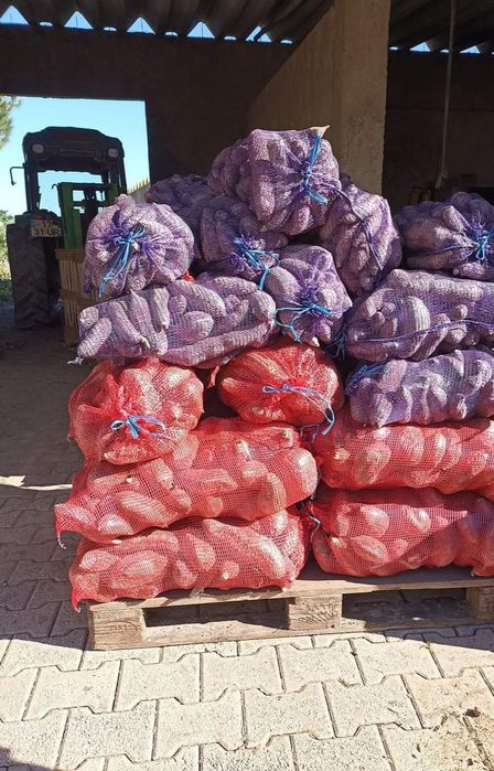 Batata doce laranja lugar da estrada