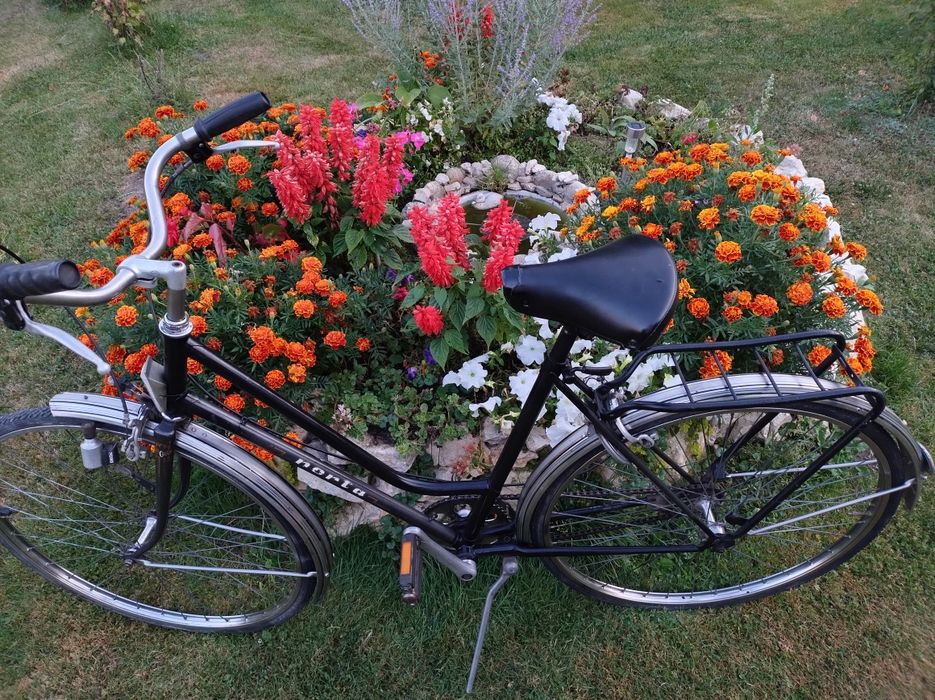 Rower Norta koła 28 piękna damka klasyk Norta rowerek na wycieczki