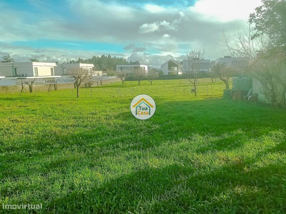 Lote Urbano em Assilhó, Albergaria-a-Velha — Albergaria-A-Velha E Valmaior, Aveiro