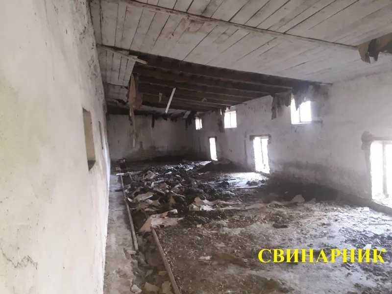 ПРОДАЖ - Свинарник, загальною площею 557,6 кв. м. с-ще. Маневичі