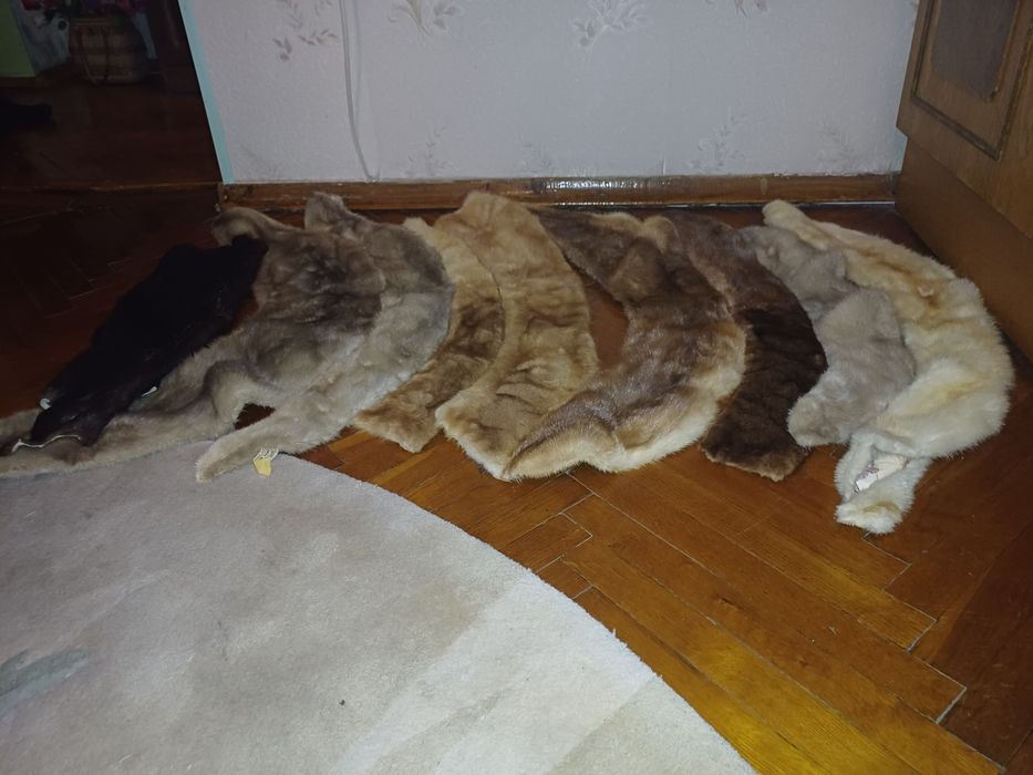 Продам шкурки норок.