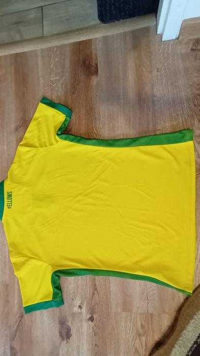 Norwich City 2016-17