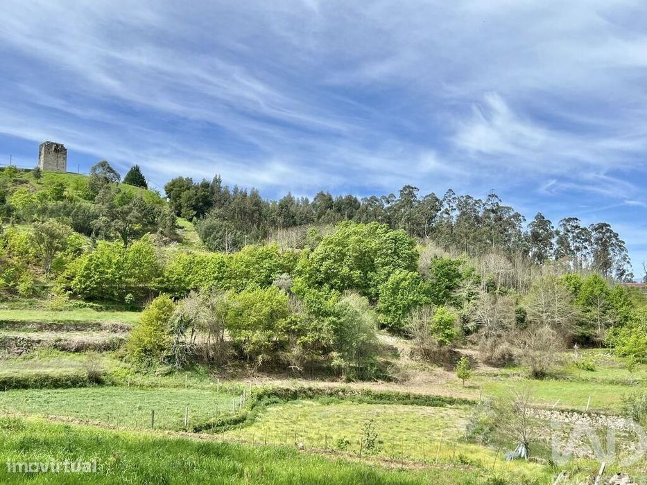 Terreno em Vouzela e Paços de Vilharigues de 26750,00 m2
