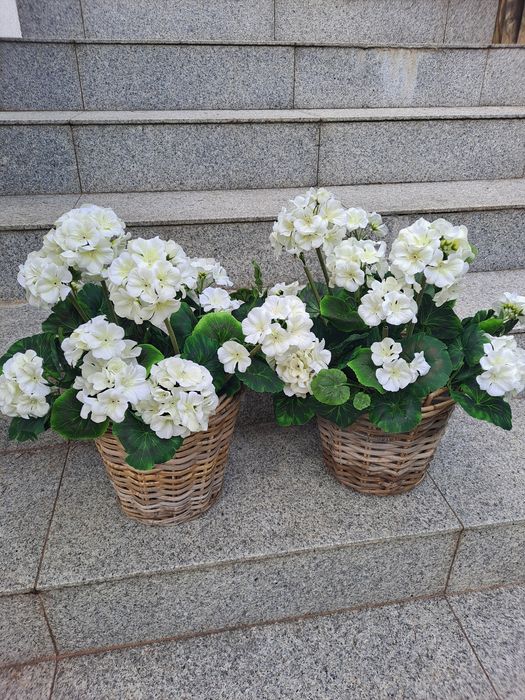 2szt. Pelargonie sztuczne w koszyku.