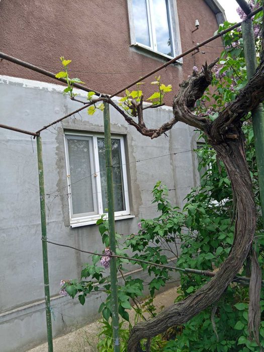 Продается  дом с ремонтом в с. Великодолинское, Одесская обл. Купи и наслаждайся прелестями загородной жизни и отдыха!