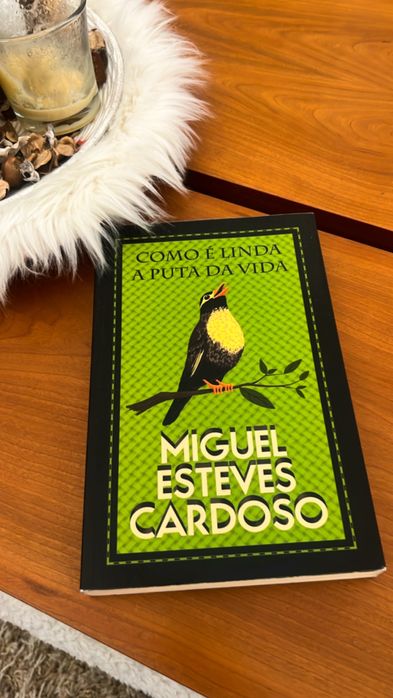 Como é linda a puta da vida