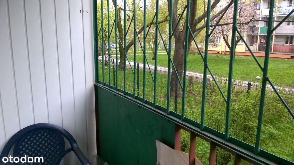 Zdjęcie 8
