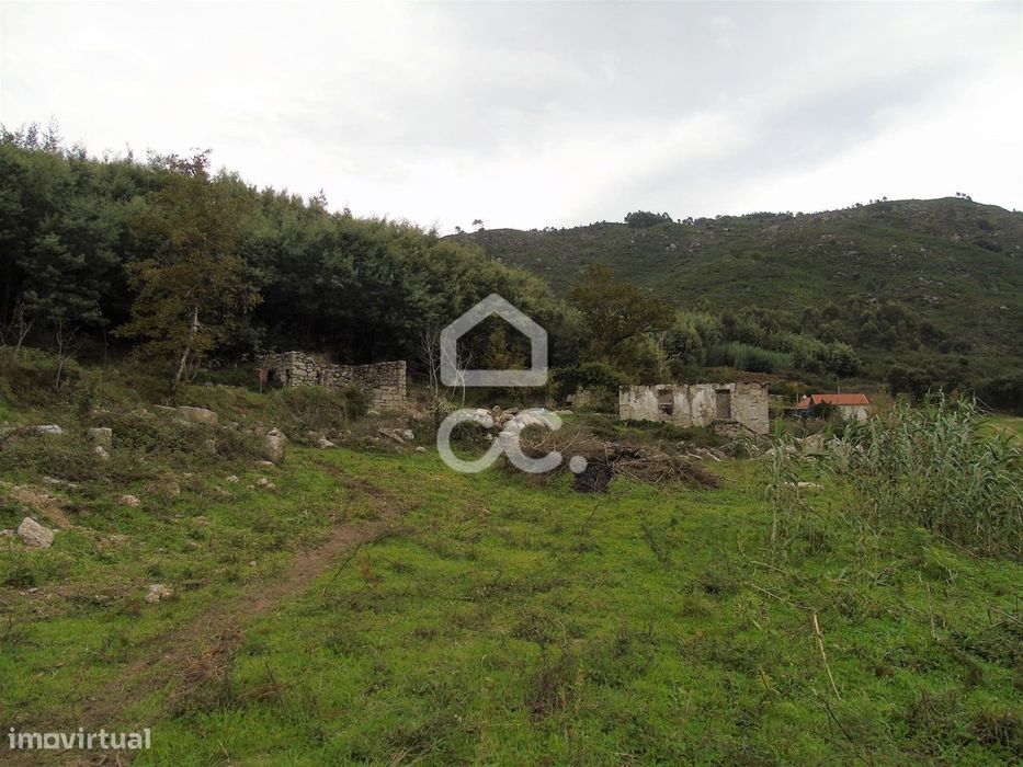 Quinta em Vale de Bouro - Celorico de Basto -  preparada para plantaçã