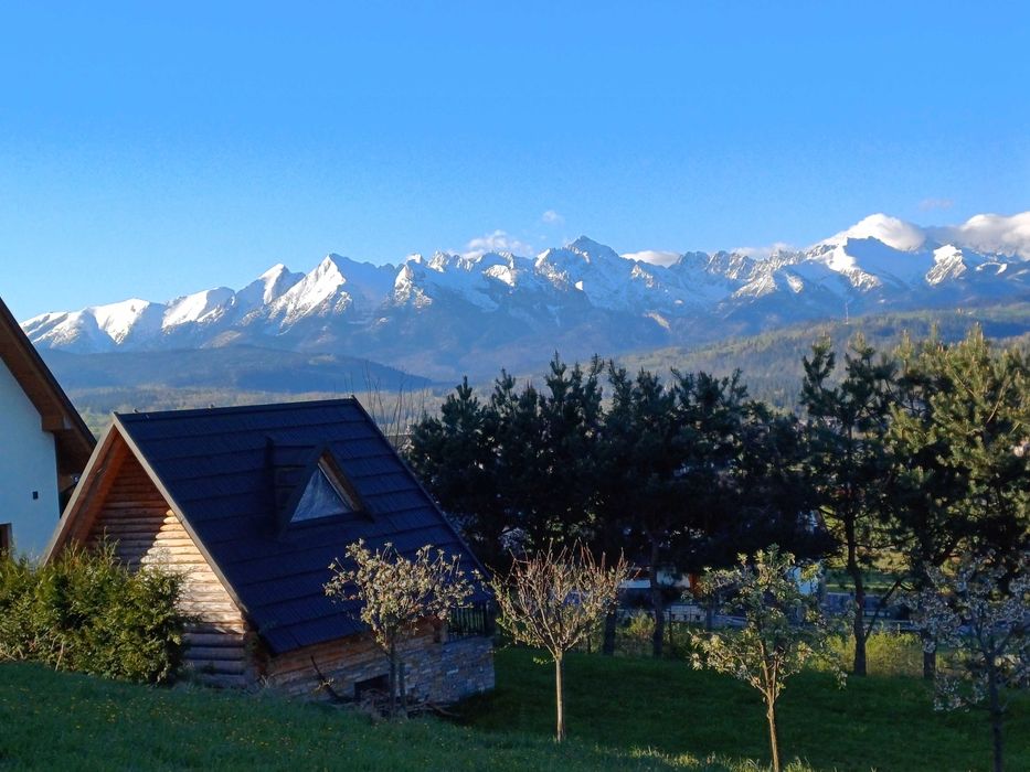 Wolne pokoje z widokiem. Panorama u Koszutów