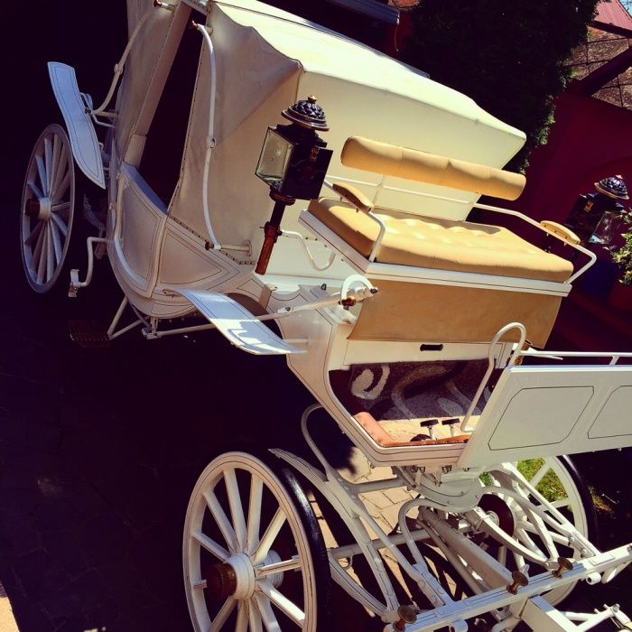 Карета Vis-a-Vis с золотим салоном.