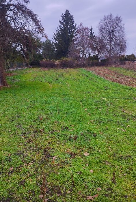 Sprzedam działkę budowlaną 23 ary, ze źródłem wody pitnej