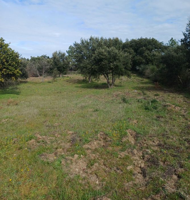 Terreno com palheiro e poço!