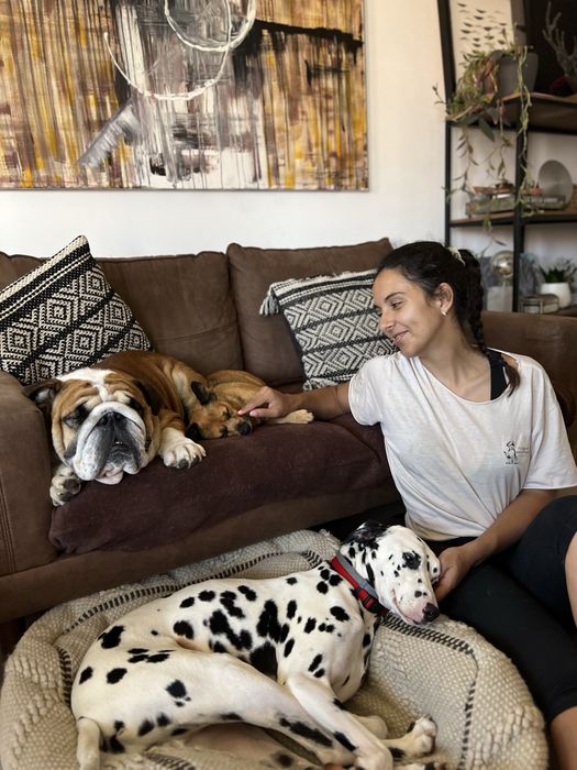 ZOA- Pet setting e Estadias Familiares