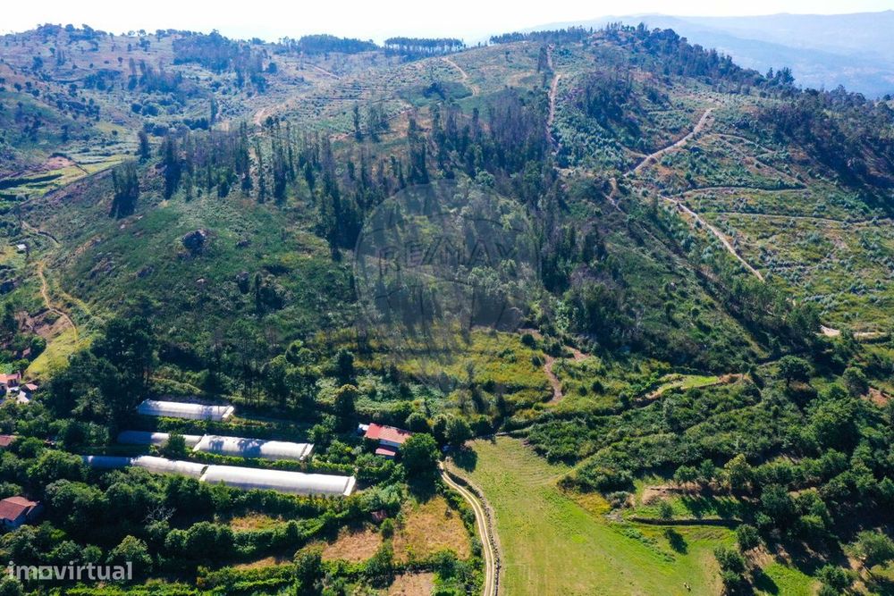 Terreno  para venda — Ancede E Ribadouro, Porto