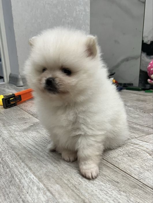 Кремова дівчинка ))