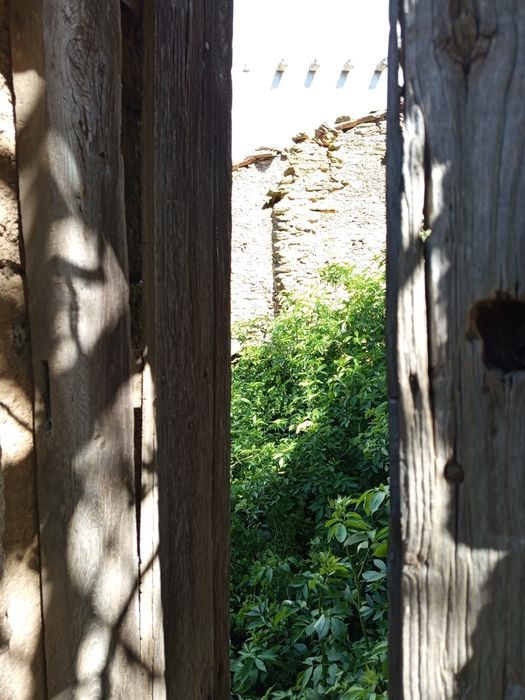 Vendo uma ruína em mós de Moncorvo