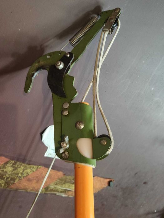 тички помидорни для города