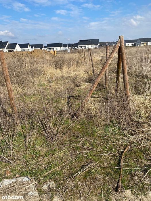 Działka budowlana w spokojnej okolicy z lasem - Widok 3