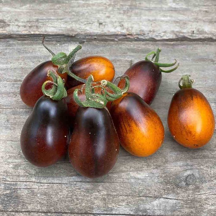 15 Sementes - Tomate Pera Indigo - Solanum lycopersicum