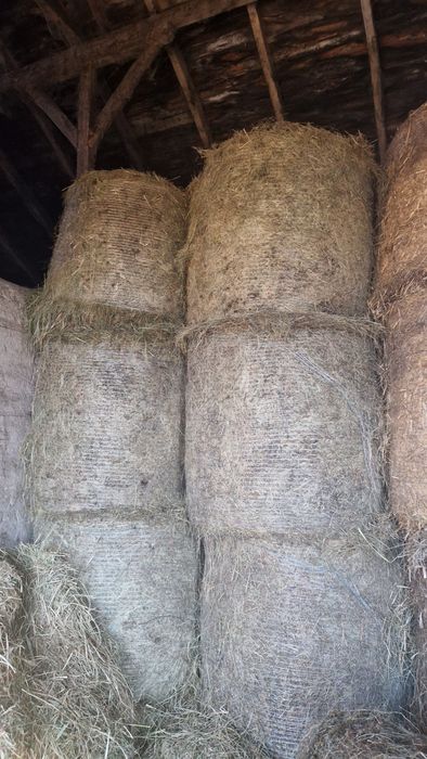 Sprzedam słomę , siano , sianokiszonkę