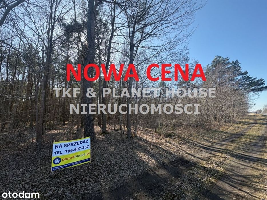 Działka leśna 1.12ha Owadów, Sławno