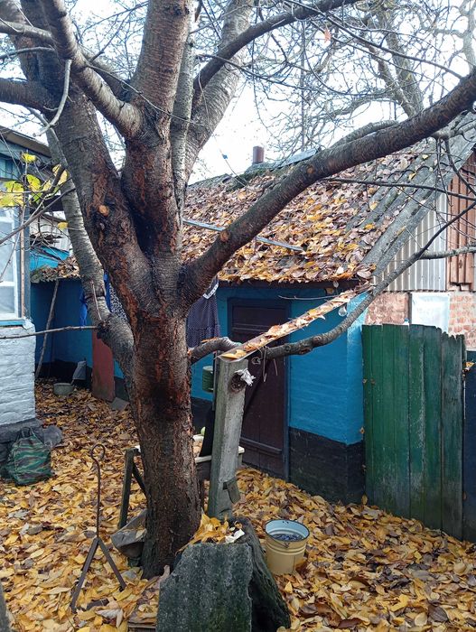 Будинок в Диканька ,опалення пічне+ газ,з енергонезалежним котлем