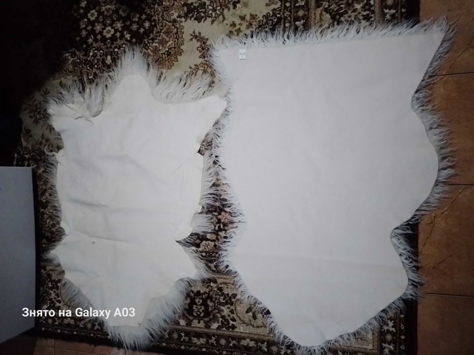 Шкура барана овцы