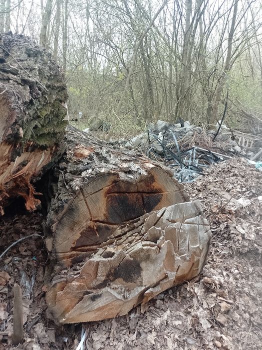 На дрова или на тырсу