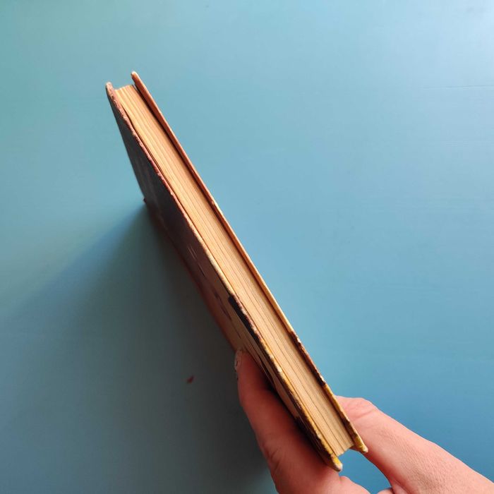 "Три толстяка" Юрий Олеша