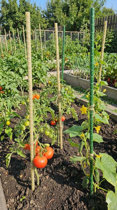 Опори з композиту для фермерів і дачників| прути або бухти|від 6 мм