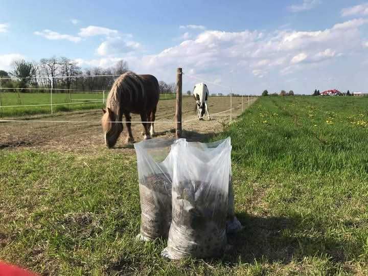 Obornik ekologiczny koński