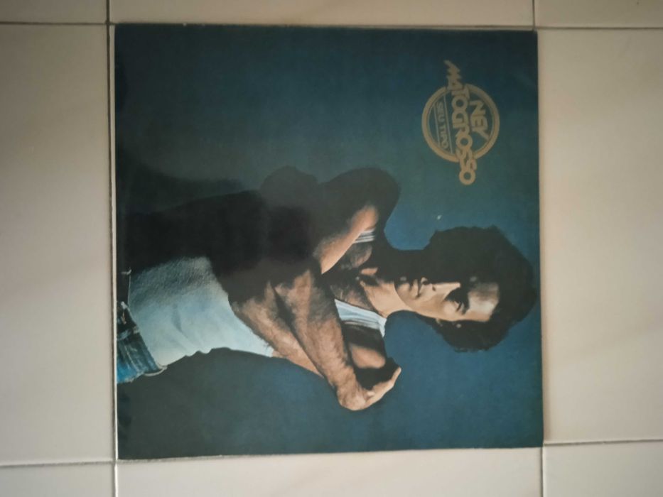 DISCO VINIL Ney Matogrosso "Seu Tipo"