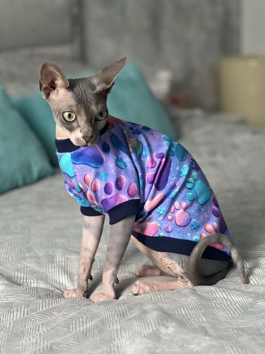 Одяг для котів Сфінксів