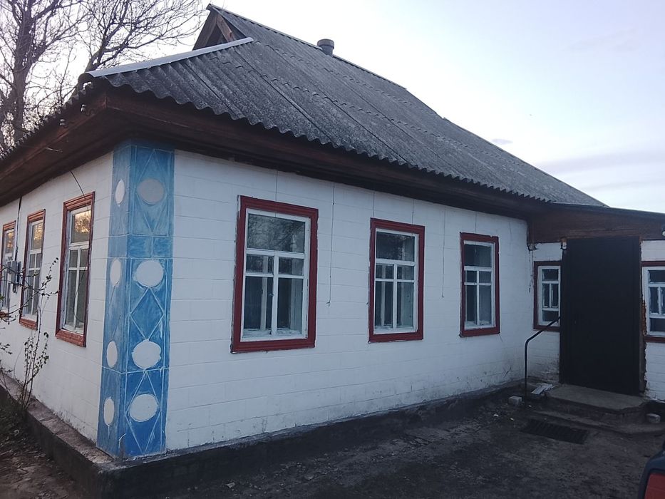Продаю будинок в мальовничому селі