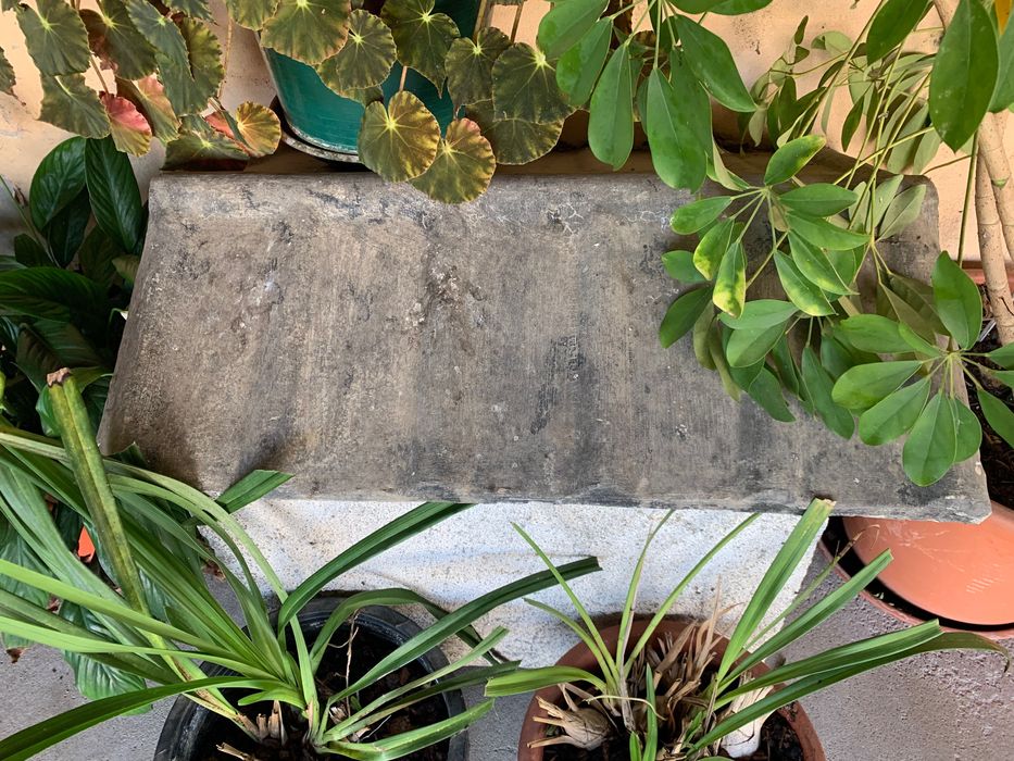 Casota de cão e tanque de roupa