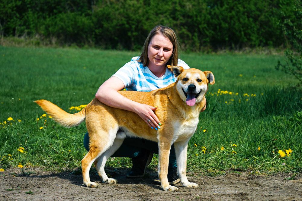 Aran - piękny pies szuka domu