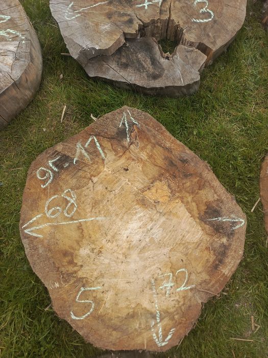 Plastry drewna... Sprzedam