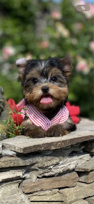 Кукольная  мини девочка