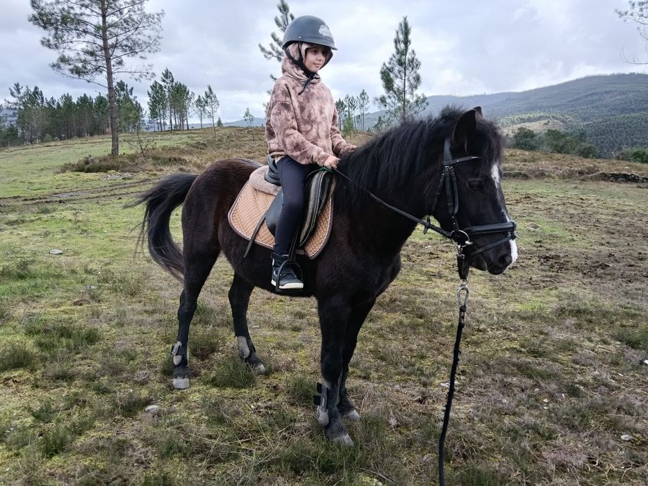 Garrana 3 anos montada/engatada gestante