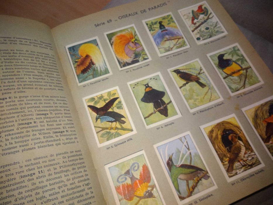 NESTLÈ - Les merveilles du monde - Livro de cromos