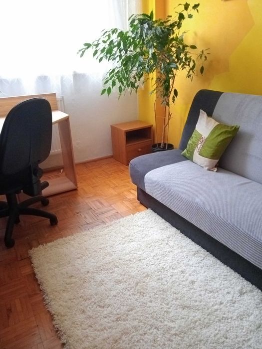 Zdjęcie 3