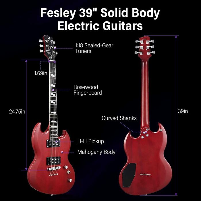 Електрогітара Fesley FSG350 (комплект)
