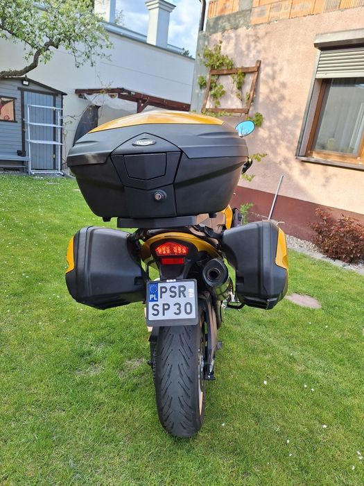 Triumph tiger 1050 Ohlins Arrow Heed