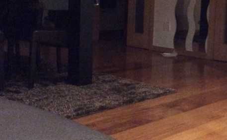 Conjunto de 3 Tapetes Castanho/Creme (Sala + Jantar + Entrada) – Excelente Estado