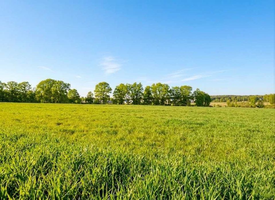 Продаж ділянки для будівель, закладів освіти 1,70га. Ястремщина.ID:771