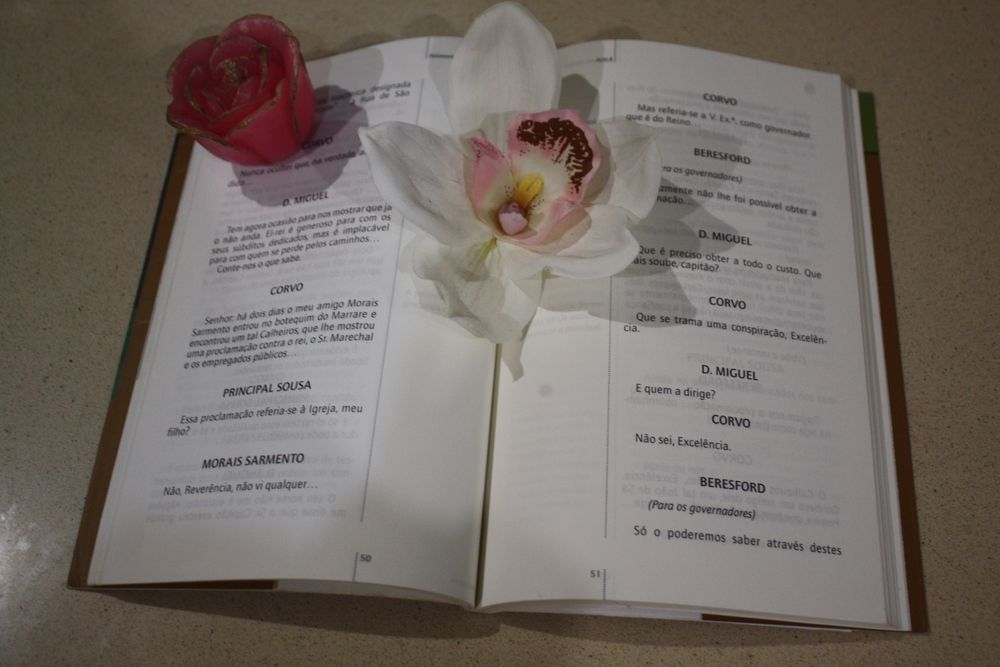 Livro "Felizmente há luar"