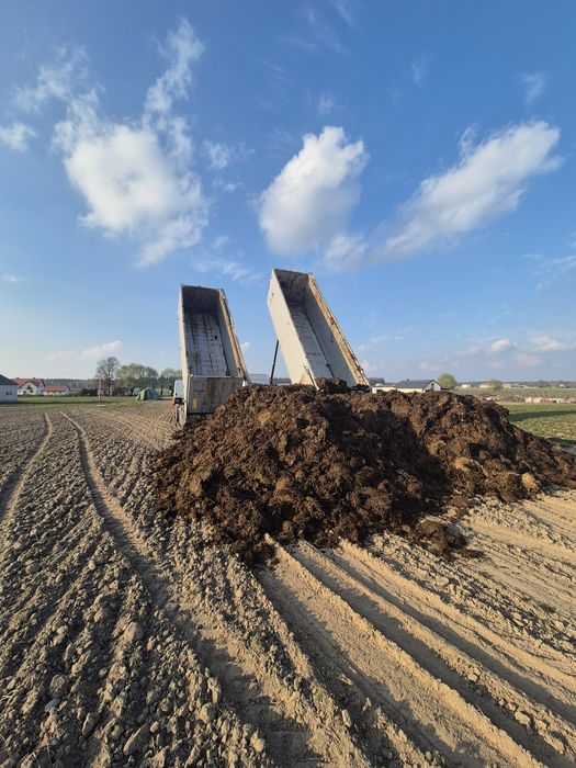 Usługa rozrzucanie obornika. Obornik