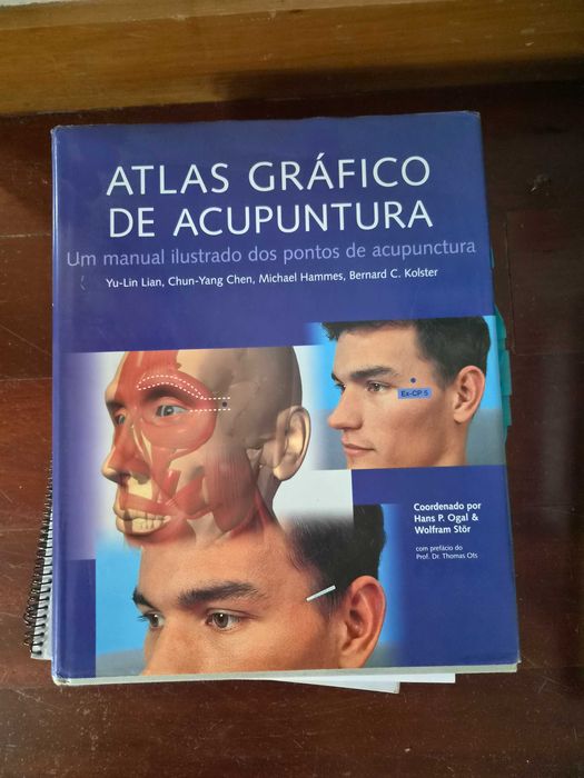Atlas Gráfico de Acupunctura — Seirin